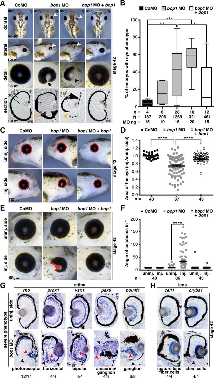 https://cdn.ncbi.nlm.nih.gov/pmc/blobs/aa17/9409556/1c66b00638b0/pone.0273507.g004.jpg