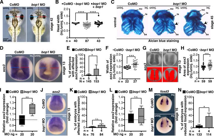 https://cdn.ncbi.nlm.nih.gov/pmc/blobs/aa17/9409556/342b89563f6a/pone.0273507.g002.jpg
