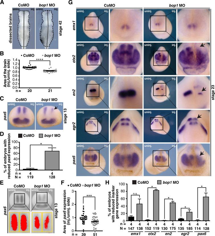https://cdn.ncbi.nlm.nih.gov/pmc/blobs/aa17/9409556/99b485ad8625/pone.0273507.g003.jpg