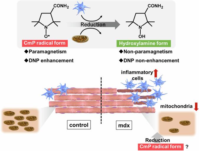 https://cdn.ncbi.nlm.nih.gov/pmc/blobs/aa18/12118763/397c17c67814/44303_2024_58_Fig1_HTML.jpg