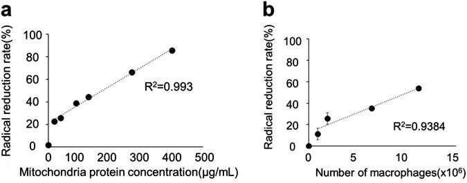 https://cdn.ncbi.nlm.nih.gov/pmc/blobs/aa18/12118763/8e0b3890c10f/44303_2024_58_Fig5_HTML.jpg