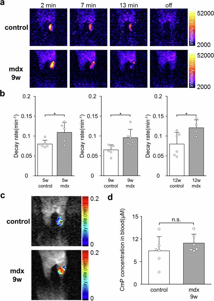 https://cdn.ncbi.nlm.nih.gov/pmc/blobs/aa18/12118763/90d8a953d7f3/44303_2024_58_Fig2_HTML.jpg