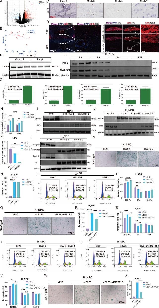 https://cdn.ncbi.nlm.nih.gov/pmc/blobs/aa19/12137937/860a897650b2/41420_2025_2515_Fig5_HTML.jpg