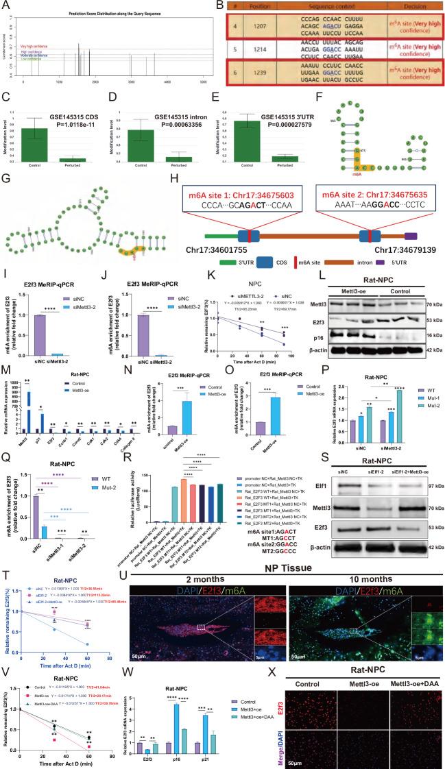 https://cdn.ncbi.nlm.nih.gov/pmc/blobs/aa19/12137937/eb4e393ad80f/41420_2025_2515_Fig6_HTML.jpg