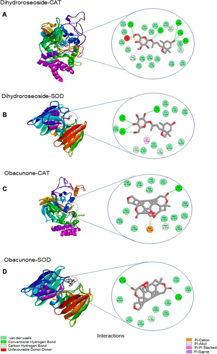 https://cdn.ncbi.nlm.nih.gov/pmc/blobs/aa1b/10441784/829d60345376/fphar-14-1221769-g009.jpg