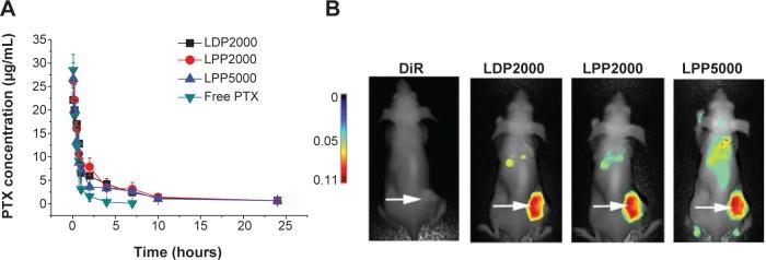 https://cdn.ncbi.nlm.nih.gov/pmc/blobs/aa1b/4356685/5418236348d3/ijn-10-1791Fig4.jpg