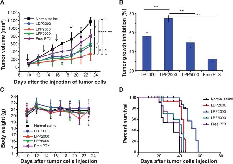 https://cdn.ncbi.nlm.nih.gov/pmc/blobs/aa1b/4356685/5746ce0447d6/ijn-10-1791Fig5.jpg