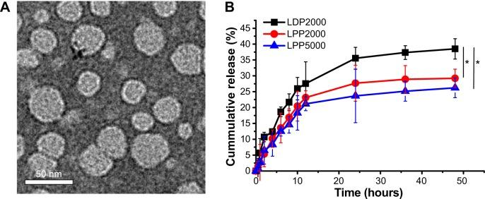 https://cdn.ncbi.nlm.nih.gov/pmc/blobs/aa1b/4356685/fbedfa866cb5/ijn-10-1791Fig1.jpg