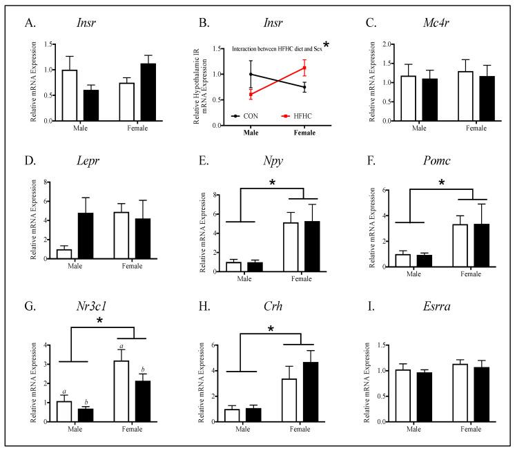 https://cdn.ncbi.nlm.nih.gov/pmc/blobs/aa1c/7598591/bf0d1dabad4e/nutrients-12-02919-g006.jpg