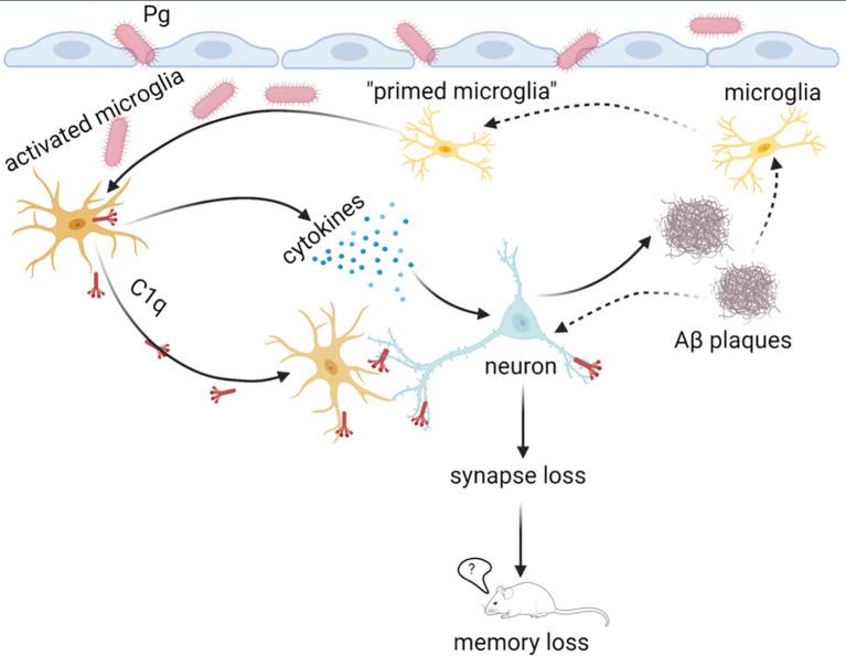 https://cdn.ncbi.nlm.nih.gov/pmc/blobs/aa1e/8845011/fa8b31c1fcc9/fimmu-13-816640-g009.jpg