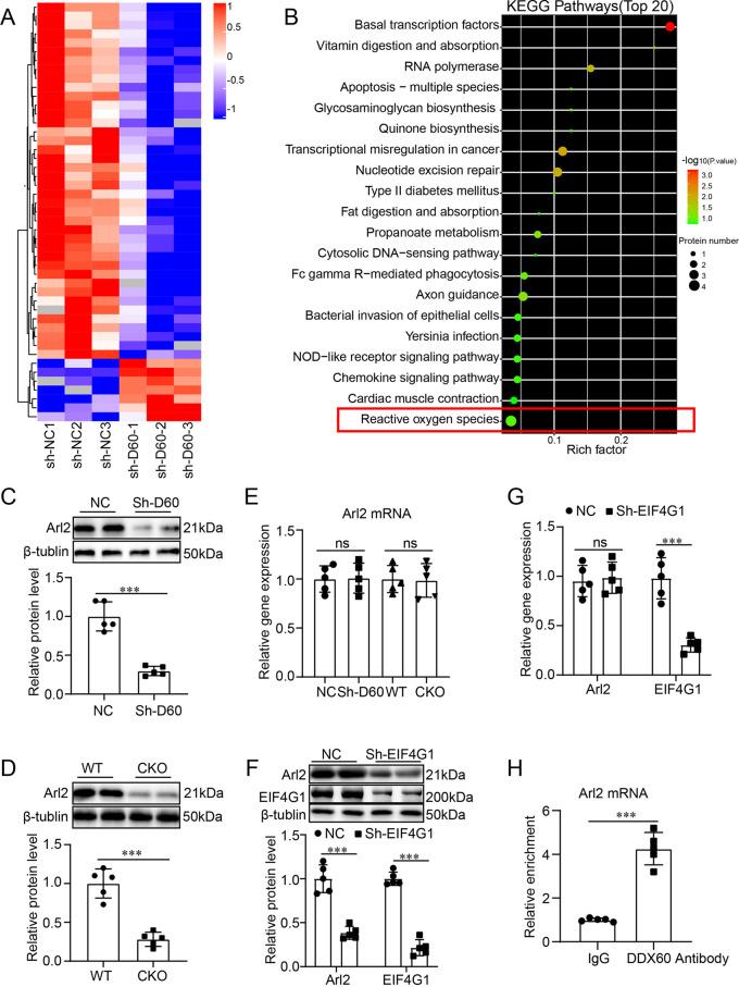 https://cdn.ncbi.nlm.nih.gov/pmc/blobs/aa1f/12405150/3c4c32fc2bfe/18_2025_5839_Fig6_HTML.jpg