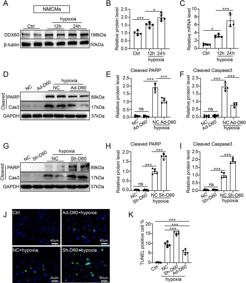 https://cdn.ncbi.nlm.nih.gov/pmc/blobs/aa1f/12405150/71d6e0f37a19/18_2025_5839_Fig1_HTML.jpg