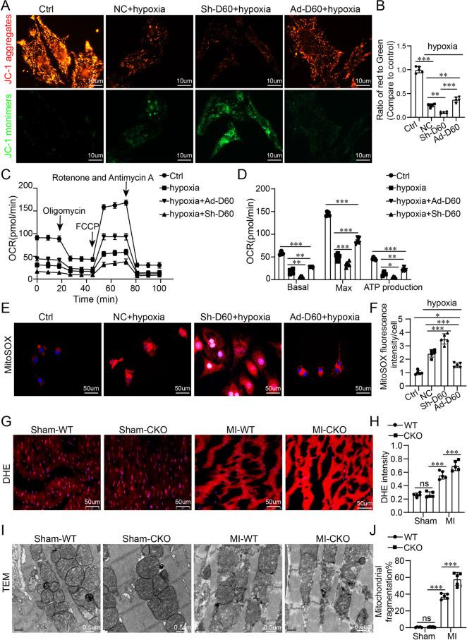 https://cdn.ncbi.nlm.nih.gov/pmc/blobs/aa1f/12405150/b87db3642732/18_2025_5839_Fig4_HTML.jpg