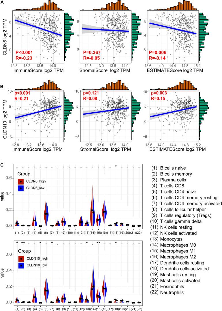 https://cdn.ncbi.nlm.nih.gov/pmc/blobs/aa20/8262617/0dec082022b6/fgene-12-595436-g005.jpg
