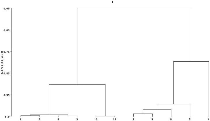 https://cdn.ncbi.nlm.nih.gov/pmc/blobs/aa21/10855876/ba93e9b81b30/foods-13-00393-g002.jpg