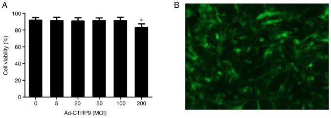 https://cdn.ncbi.nlm.nih.gov/pmc/blobs/aa24/8393267/080b912c6f02/etm-22-04-10573-g00.jpg