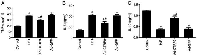 https://cdn.ncbi.nlm.nih.gov/pmc/blobs/aa24/8393267/ab810a1562e3/etm-22-04-10573-g03.jpg