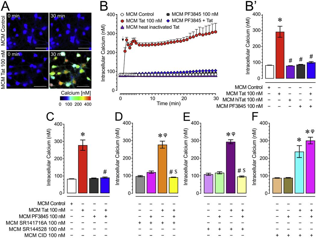 https://cdn.ncbi.nlm.nih.gov/pmc/blobs/aa24/8984429/3294bceb2875/nihms-1685475-f0001.jpg