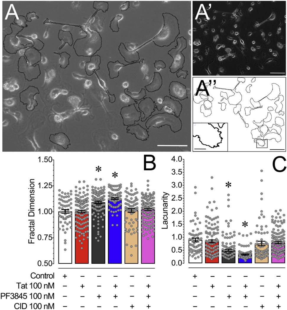 https://cdn.ncbi.nlm.nih.gov/pmc/blobs/aa24/8984429/f89898e944a7/nihms-1685475-f0005.jpg