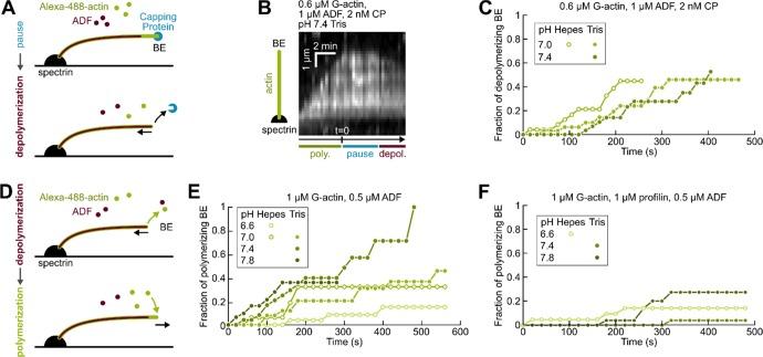 https://cdn.ncbi.nlm.nih.gov/pmc/blobs/aa25/6358128/3a11635b3021/bi-2018-01001k_0005.jpg
