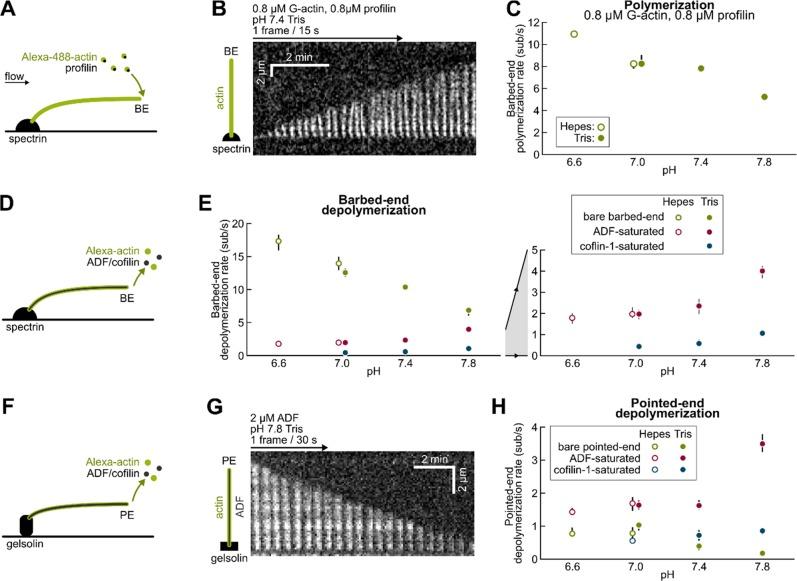 https://cdn.ncbi.nlm.nih.gov/pmc/blobs/aa25/6358128/76bd0877d2aa/bi-2018-01001k_0004.jpg