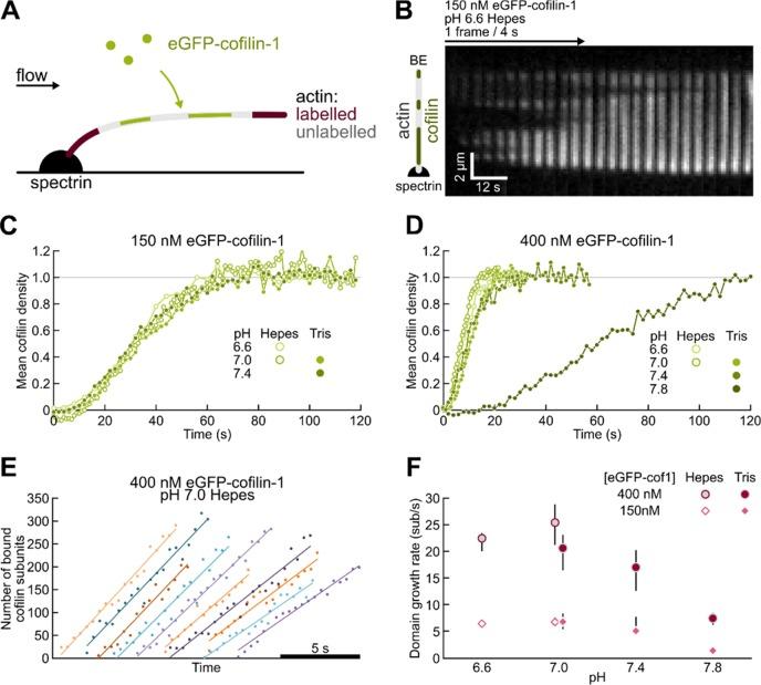 https://cdn.ncbi.nlm.nih.gov/pmc/blobs/aa25/6358128/c4a4c99f3e31/bi-2018-01001k_0002.jpg