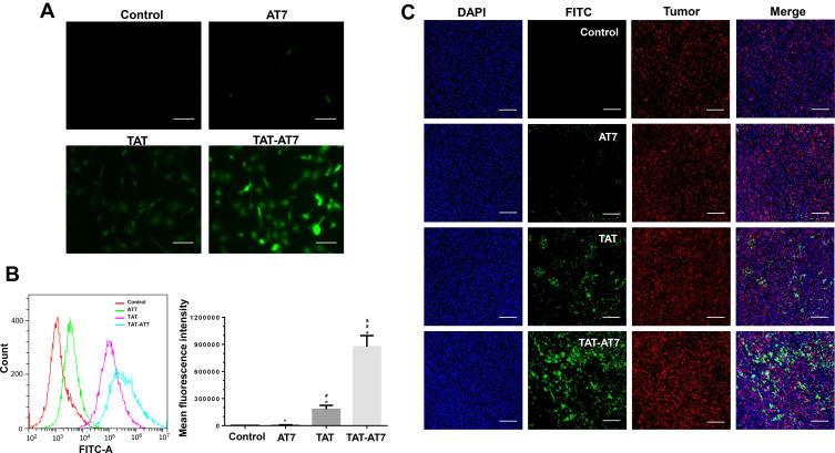 https://cdn.ncbi.nlm.nih.gov/pmc/blobs/aa25/7669533/23e27daad8a8/IJN-15-8875-g0003.jpg