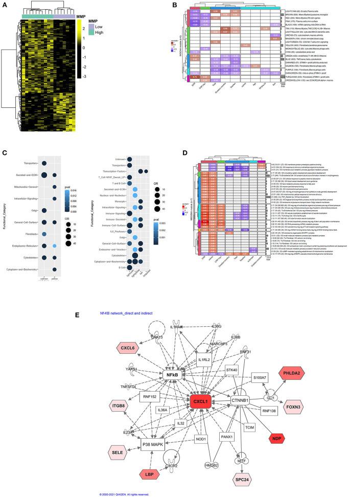 https://cdn.ncbi.nlm.nih.gov/pmc/blobs/aa25/9110862/1b24245b317c/fmed-09-823244-g0003.jpg