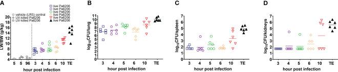 https://cdn.ncbi.nlm.nih.gov/pmc/blobs/aa27/10750358/08851e46f9ba/fcimb-13-1297281-g003.jpg