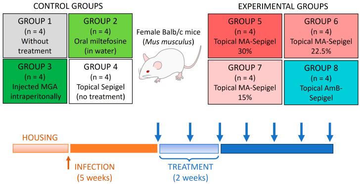 https://cdn.ncbi.nlm.nih.gov/pmc/blobs/aa29/11357575/8255e1dd1aa3/pathogens-13-00712-g002.jpg
