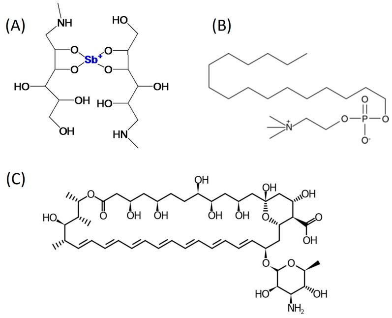 https://cdn.ncbi.nlm.nih.gov/pmc/blobs/aa29/11357575/ffb26c043f95/pathogens-13-00712-g001.jpg
