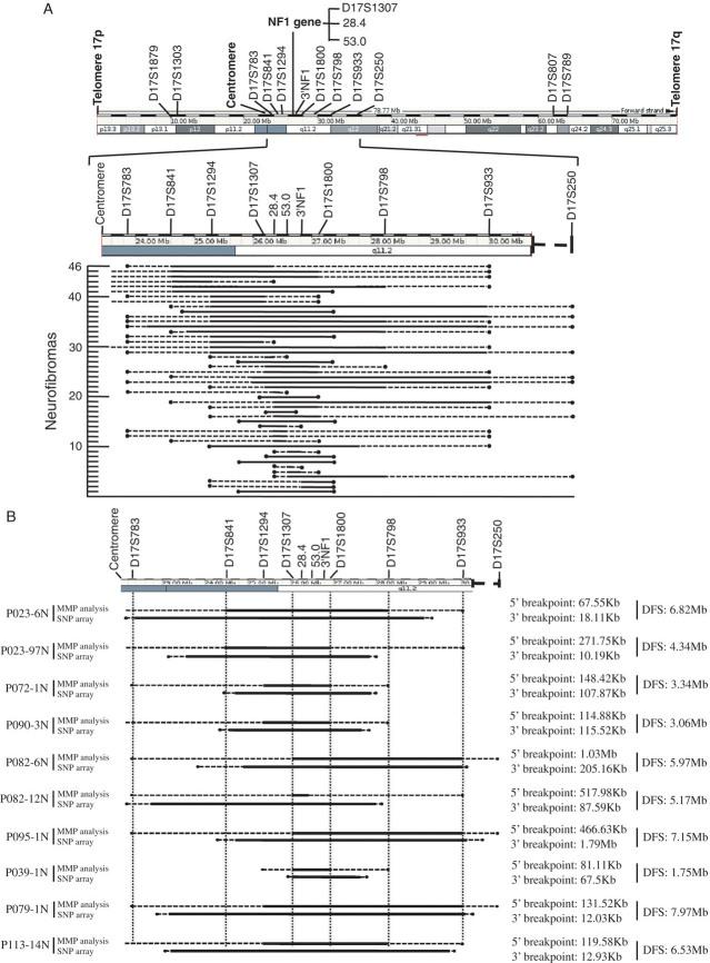 https://cdn.ncbi.nlm.nih.gov/pmc/blobs/aa2a/3151547/2926c4534804/humu0032-0078-f2.jpg