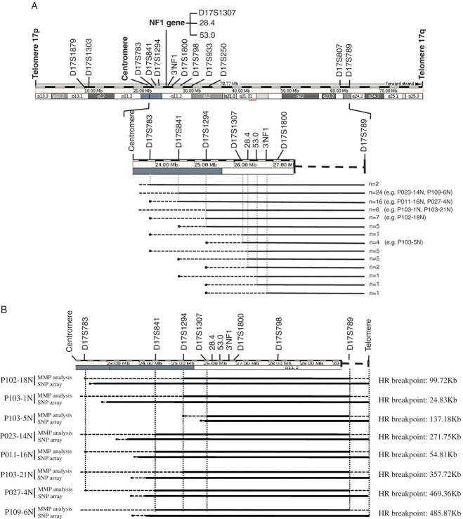 https://cdn.ncbi.nlm.nih.gov/pmc/blobs/aa2a/3151547/3df0a564277f/humu0032-0078-f4.jpg