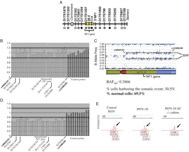 https://cdn.ncbi.nlm.nih.gov/pmc/blobs/aa2a/3151547/9a515b216c9e/humu0032-0078-f3.jpg