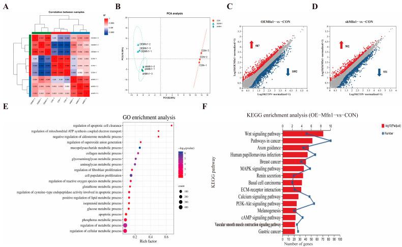 https://cdn.ncbi.nlm.nih.gov/pmc/blobs/aa2b/12248831/4fa7c4ef3d76/cells-14-01015-g003.jpg