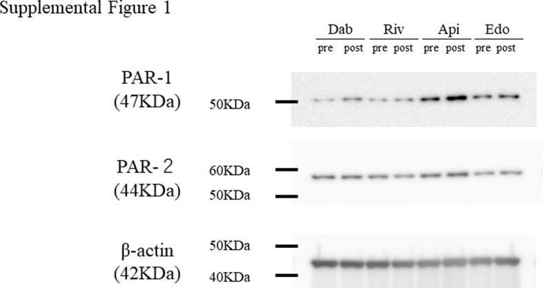 https://cdn.ncbi.nlm.nih.gov/pmc/blobs/aa2e/11156700/2b9f282248d4/fx1.jpg