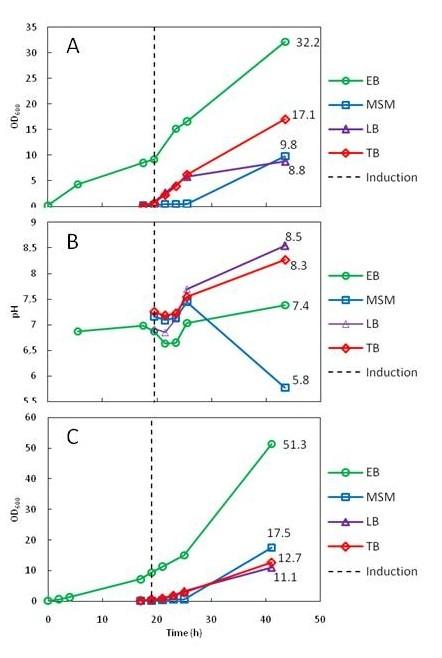 https://cdn.ncbi.nlm.nih.gov/pmc/blobs/aa2e/2841585/2c8056be3cfc/1475-2859-9-11-1.jpg