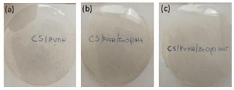 https://cdn.ncbi.nlm.nih.gov/pmc/blobs/aa2f/9182113/fc5dbafba01b/nanomaterials-12-01843-g001.jpg