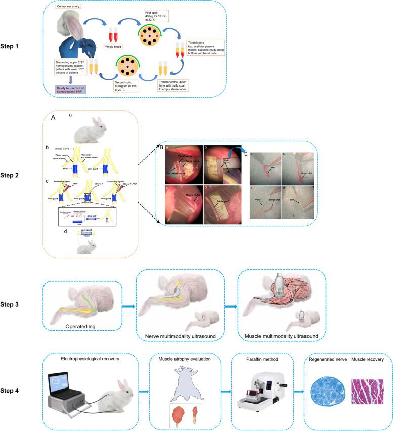 https://cdn.ncbi.nlm.nih.gov/pmc/blobs/aa2f/9188244/5f0283979358/40824_2022_264_Fig1_HTML.jpg
