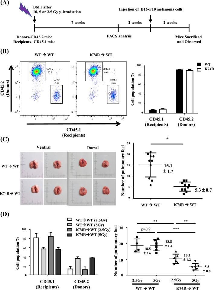 https://cdn.ncbi.nlm.nih.gov/pmc/blobs/aa30/11098557/18e5c250e12d/elife-88275-fig2.jpg