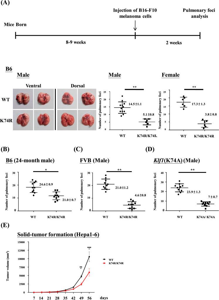 https://cdn.ncbi.nlm.nih.gov/pmc/blobs/aa30/11098557/37403ac0960a/elife-88275-fig1.jpg