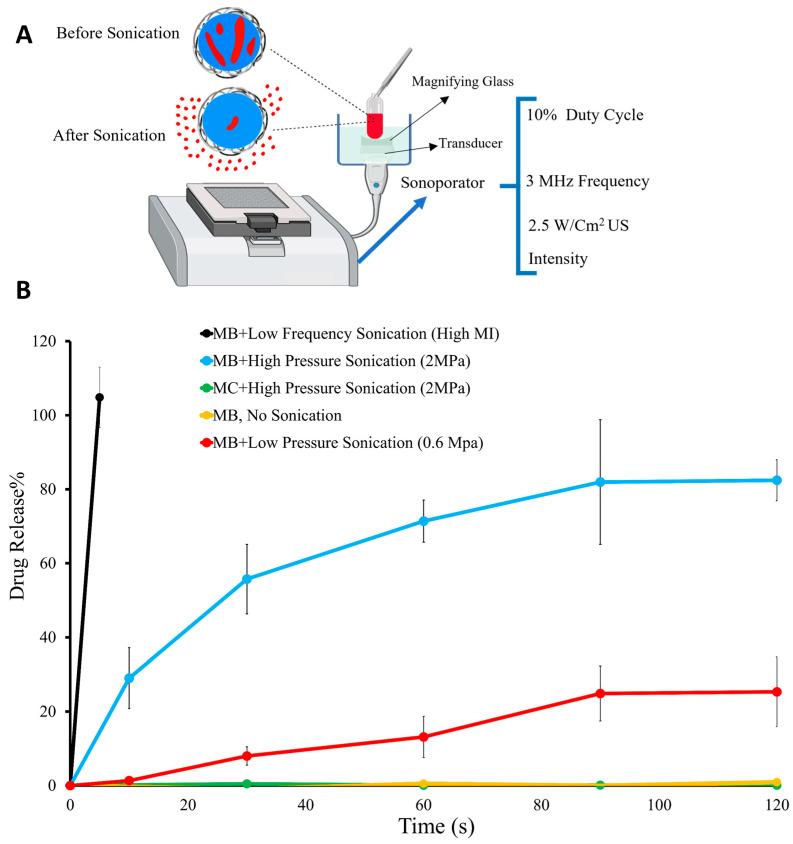 https://cdn.ncbi.nlm.nih.gov/pmc/blobs/aa31/10675060/817bd5d34dcc/pharmaceutics-15-02550-g007.jpg
