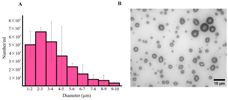https://cdn.ncbi.nlm.nih.gov/pmc/blobs/aa31/10675060/81cdaaf64072/pharmaceutics-15-02550-g005a.jpg