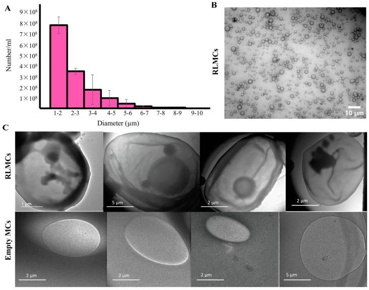 https://cdn.ncbi.nlm.nih.gov/pmc/blobs/aa31/10675060/b9bdfb6f646c/pharmaceutics-15-02550-g004.jpg
