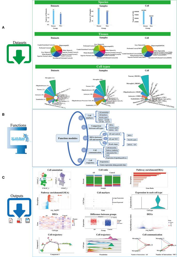 https://cdn.ncbi.nlm.nih.gov/pmc/blobs/aa33/10213211/b019e280495b/fnagi-15-1157792-g0001.jpg