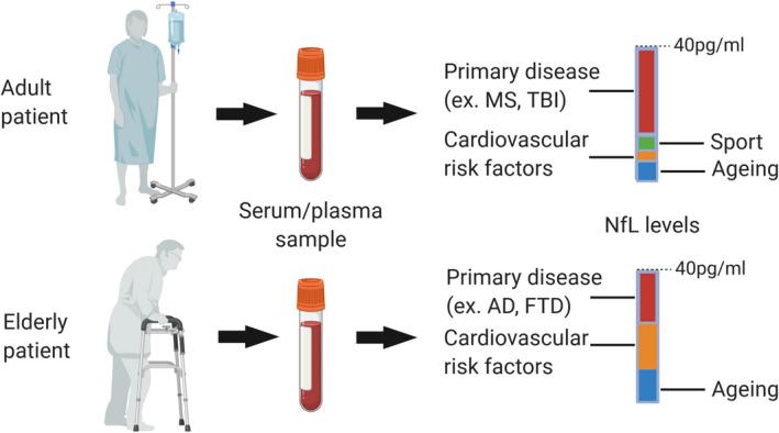 https://cdn.ncbi.nlm.nih.gov/pmc/blobs/aa36/7732243/fe774a784d83/ACN3-7-2508-g002.jpg