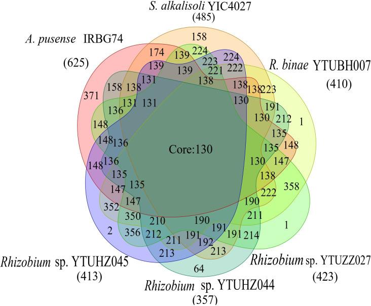 https://cdn.ncbi.nlm.nih.gov/pmc/blobs/aa37/10272884/e88a2a83e8ce/mgen-9-1004-g004.jpg
