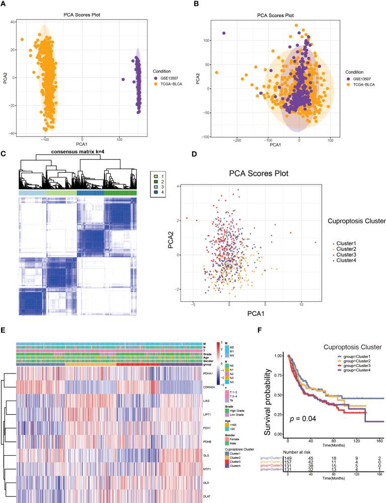 https://cdn.ncbi.nlm.nih.gov/pmc/blobs/aa37/10469981/586263df76e8/fimmu-14-1219209-g002.jpg