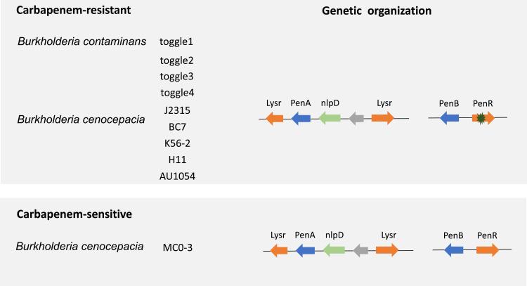 https://cdn.ncbi.nlm.nih.gov/pmc/blobs/aa37/10473398/97ff86fd22dd/IDR-16-5627-g0001.jpg