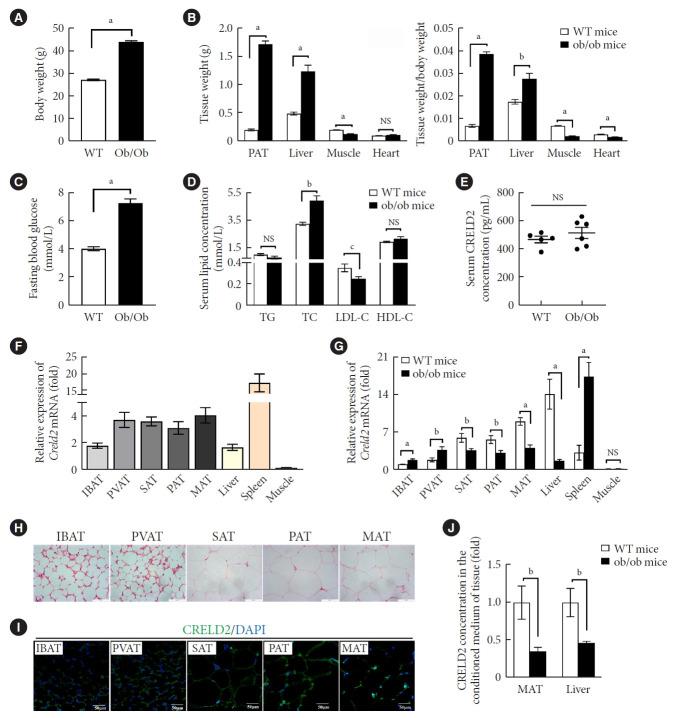 https://cdn.ncbi.nlm.nih.gov/pmc/blobs/aa37/12436037/43ba69da7f12/dmj-2024-0211f5.jpg